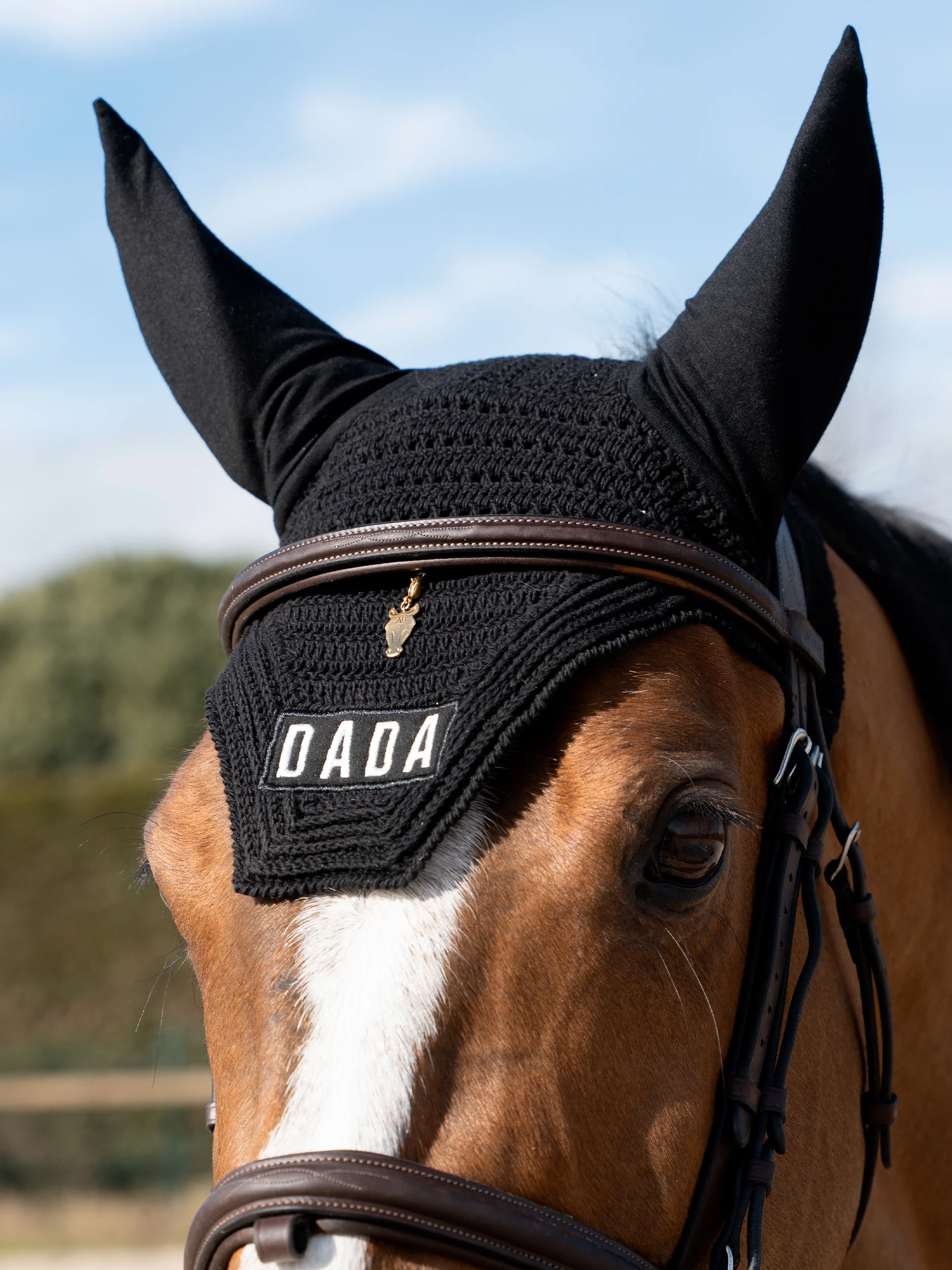 Toutes les créations